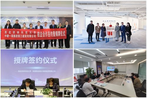 人文社会发展学院人力资源服务 融合人文关怀与专业管理的创新实践