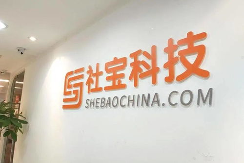 深耕数字化沃土，社宝科技赋能企业人力资源管理新未来