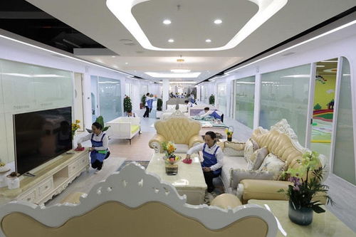 轻喜到家爆单现象揭示女性居家新需求